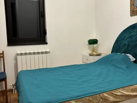 Izdavanje, trosoban stan, 49m², Bulbulder, Zvezdara Sve Podlokacije - image 7