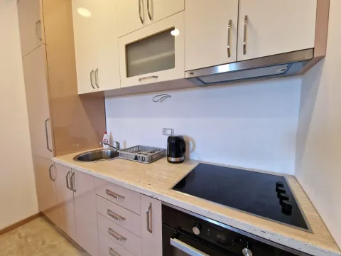 Izdavanje, jednosoban stan, 41m², Budva, Crna Gora - image 7