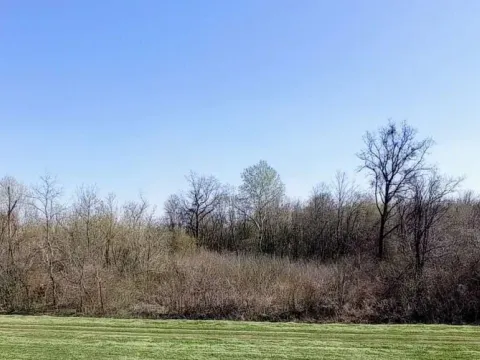 Sale, land lot, 3200m², Krtinska, Obrenovac - image 2