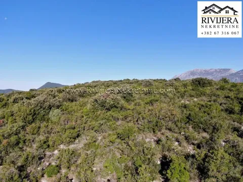 Prodaja, plac, 65000m², Herceg Novi, Crna Gora - image 4