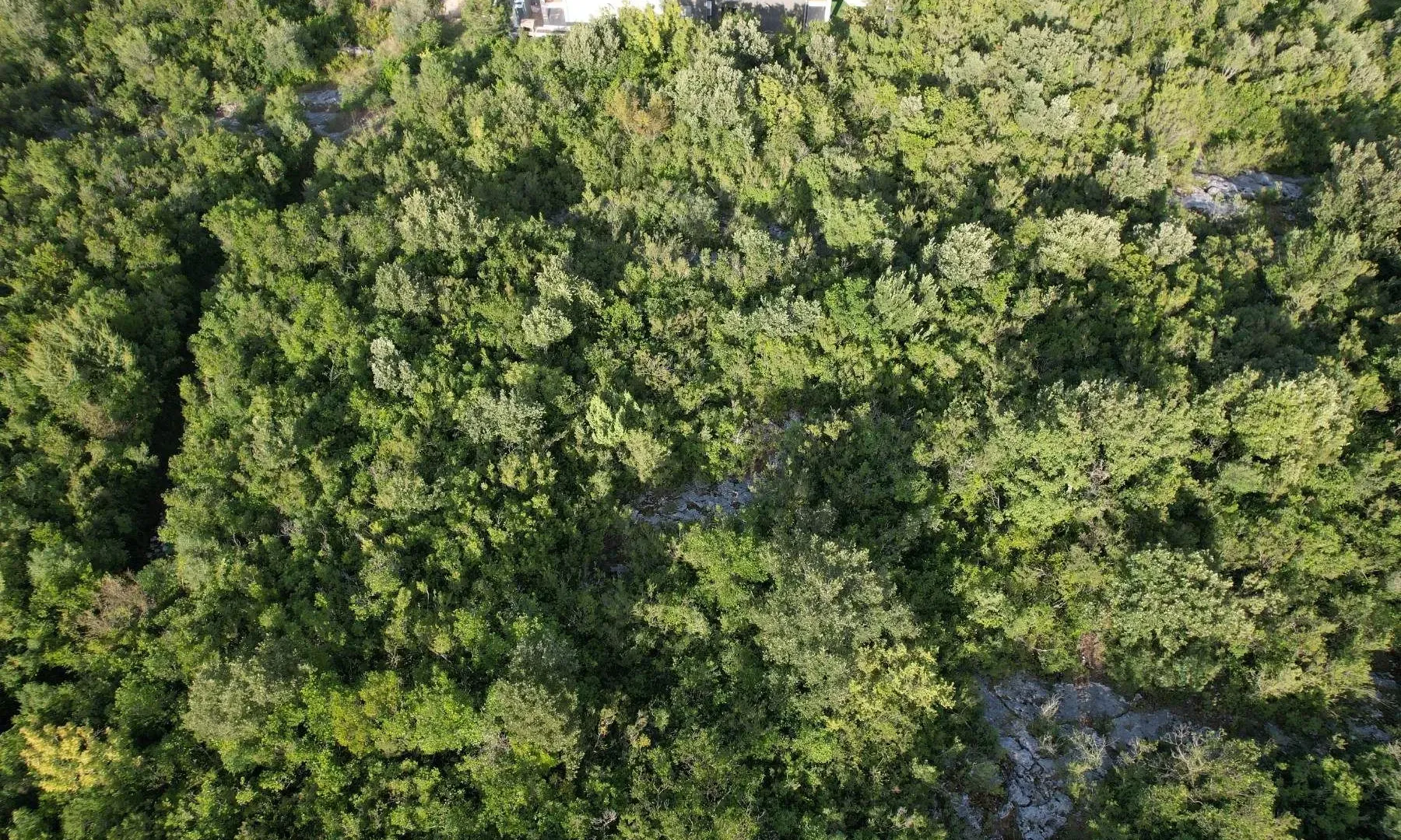 Prodaja, plac, 1612m², Đuraševići, Tivat