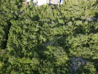 Prodaja, plac, 1612m², Đuraševići, Tivat - image 8