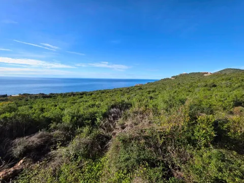 Prodaja, plac, 2000m², Krimovica, Kotor - image 2