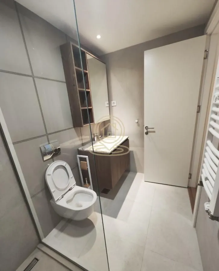 Modernly equipped bathroom with a walk-in shower, vanity, and toilet.