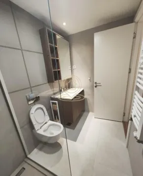 Modernly equipped bathroom with a walk-in shower, vanity, and toilet. - image 11