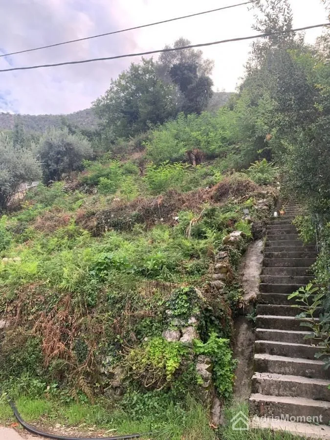 Prodaja, plac, 204100m², Stoliv, Kotor