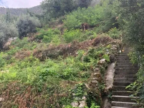 Prodaja, plac, 204100m², Stoliv, Kotor - image 3