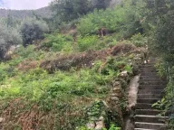 Prodaja, plac, 204100m², Stoliv, Kotor - image 3