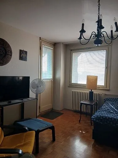 Living room with a bed, TV, and access to the terrace.