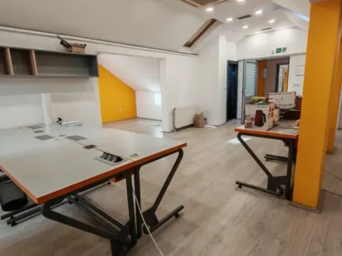 Izdavanje, poslovni prostor, 300m², Centar, Kragujevac - image 3