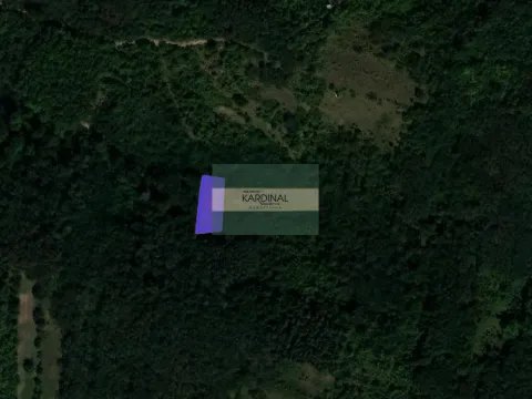 Prodaja, plac, 6367m², Beočić, Rekovac - image 5