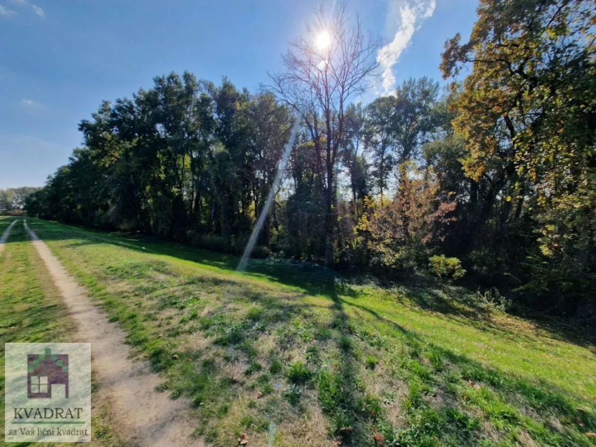 Prodaja, plac, 1500m², Progar, Surčin