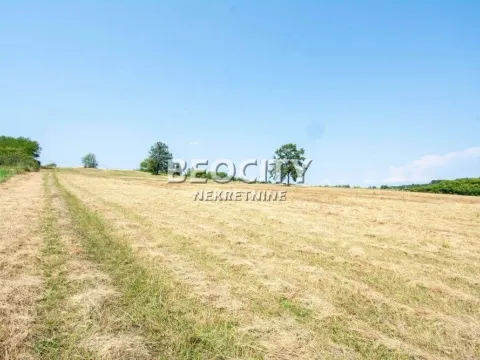 Prodaja, plac, 214m², Parcani, Sopot - image 5