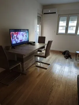 Izdavanje, jednosoban stan, 50m², Central Point, Podgorica - image 3