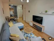 Izdavanje, jednosoban stan, 43m², Central Point, Podgorica - image 1