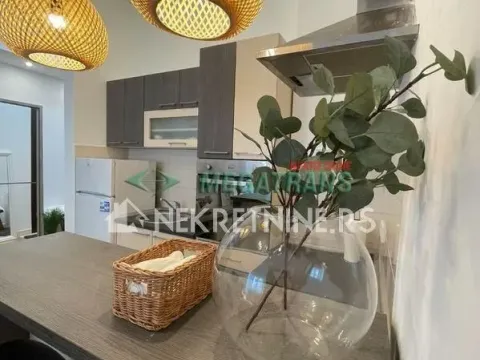 Izdavanje, dvosoban stan, 40m², Bulevar Oslobodjenja, Novi Sad Sve Podlokacije - image 5