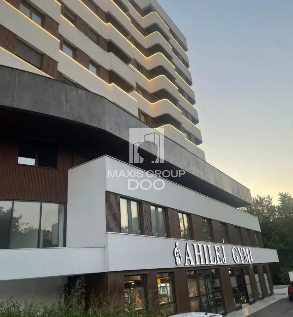 Izdavanje, dvosoban stan, 35m², Južni Bulevar, Vračar Sve Podlokacije