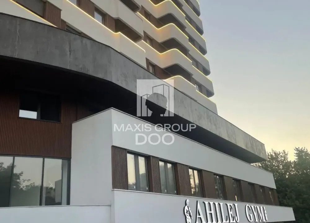 Rent, two bedroom apartment, 35m², Južni Bulevar, Vračar Sve Podlokacije