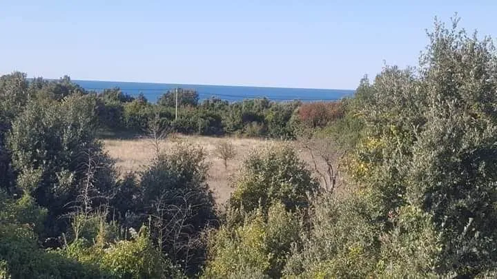 Prodaja, plac, 2050m², Bar, Crna Gora