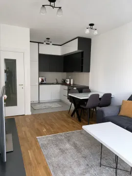 Rent, one bedroom apartment, 46m², Zabjelo, Podgorica - image 3