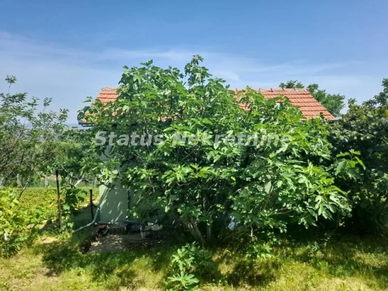 Sale, house, 30m², Beočin, Srbija