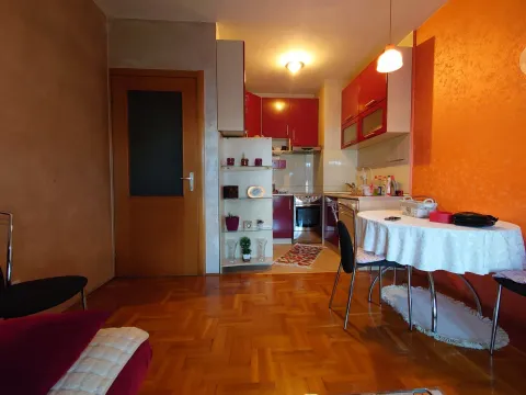 Izdavanje, jednosoban stan, 40m², Stari Aerodrom, Podgorica - image 10