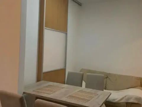 Izdavanje, jednosoban stan, 40m², City Kej, Podgorica - image 6