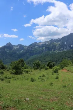 Prodaja, plac, 45000m², Gornje Lipovo, Kolašin - image 6