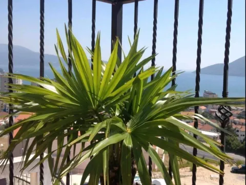 Sale, three bedroom apartment, 103m², Igalo, Herceg Novi - image 9