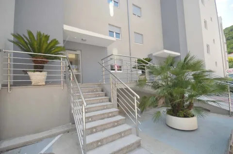 Entrance to a residential building with stairs and ornamental plants. - image 8