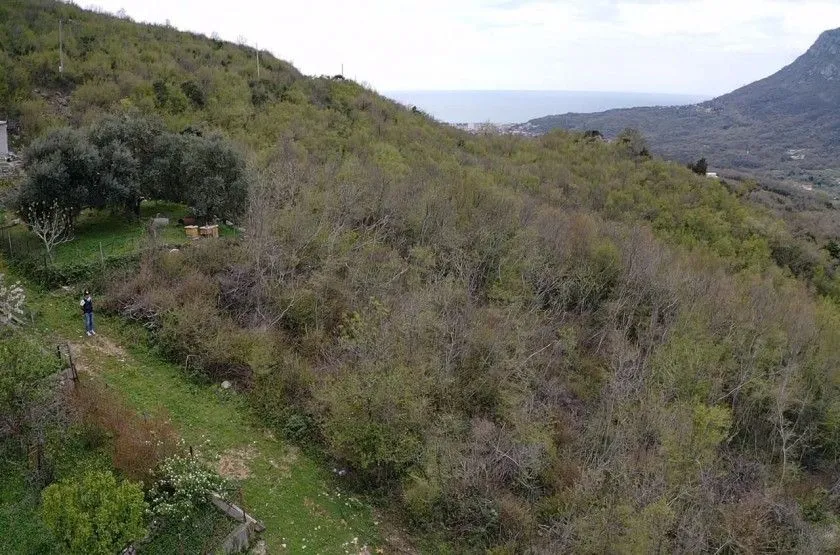 Prodaja, plac, 500m², Župci, Bar