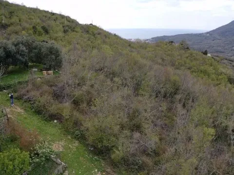 Prodaja, plac, 500m², Župci, Bar - image 3