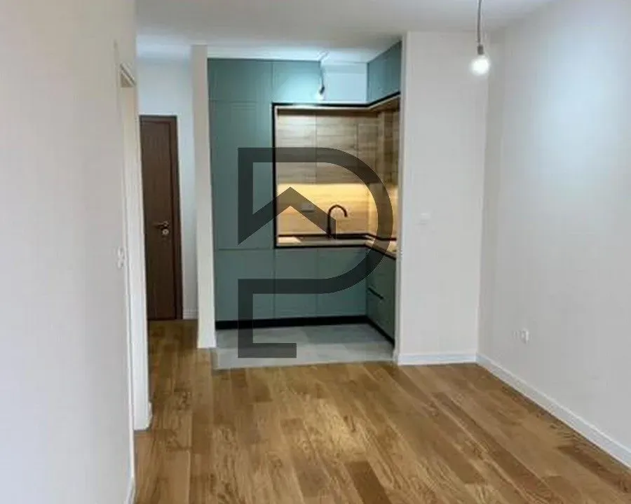 Izdavanje, stan, 42m², Central Point, Podgorica