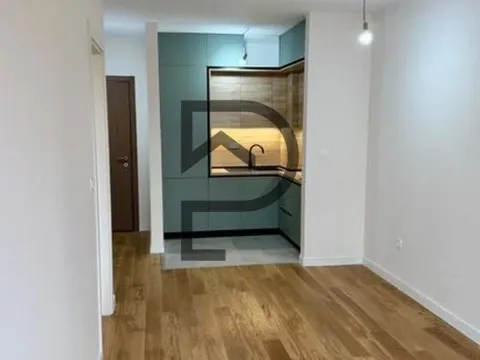 Rent, apartment, 42m², Central Point, Podgorica