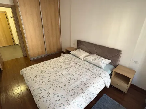 Izdavanje, jednosoban stan, 50m², Master Kvart, Podgorica - image 8