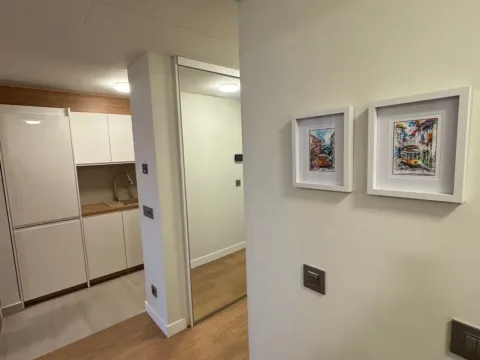 Rent, two bedroom apartment, 47m², Novi Beograd Blok 65, Novi Beograd Sve Podlokacije - image 2