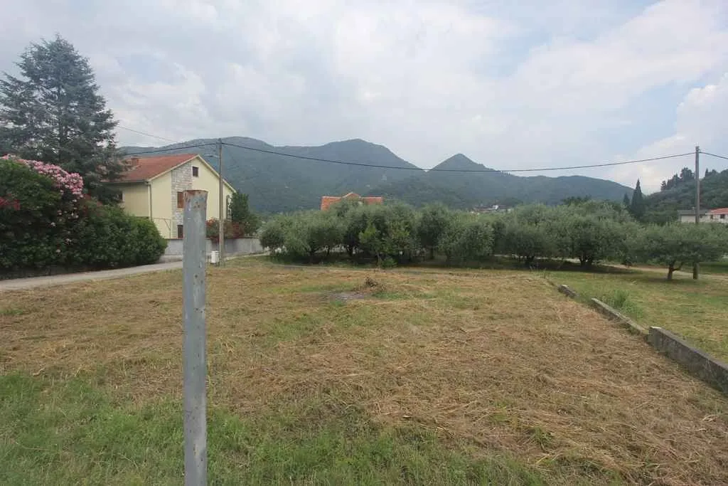 Travnati plac okružen drvećem sa pogledom na planine u pozadini.