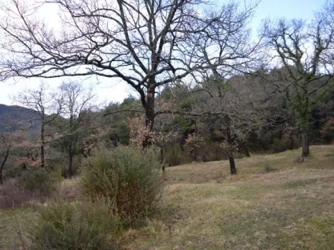 Sale, land lot, 9328m², Mojdež, Herceg Novi - image 7