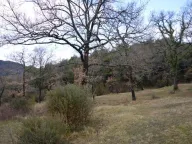 Sale, land lot, 9328m², Mojdež, Herceg Novi - image 7