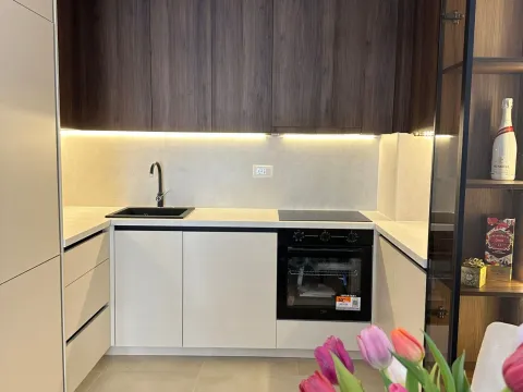 Izdavanje, jednosoban stan, 46m², Zabjelo, Podgorica - image 2