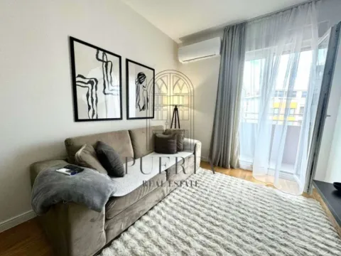 Izdavanje, jednosoban stan, 40m², Central Point, Podgorica - image 3