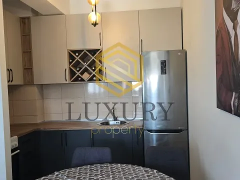 Rent, one bedroom apartment, 40m², Ljubović, Podgorica - image 7