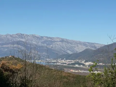 Prodaja, plac, 16880m², Radanovići, Kotor - image 4