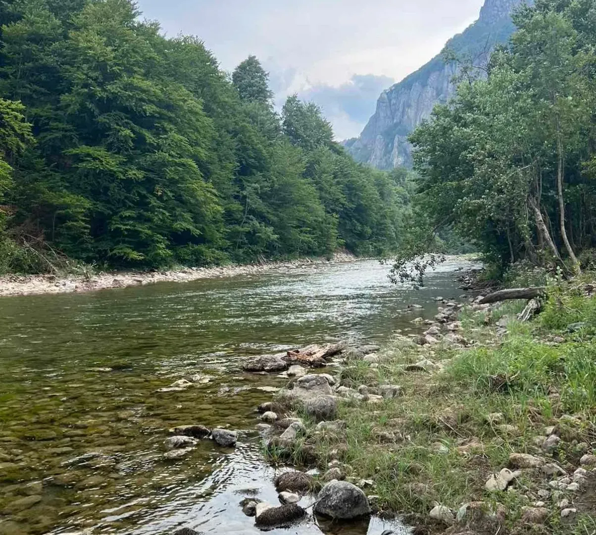 Prodaja, plac, 3240m², Rovačko Trebaljevo, Kolašin