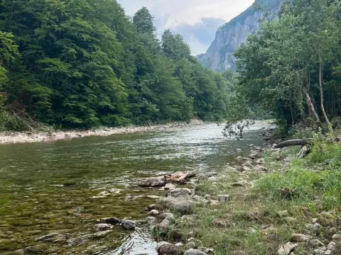 Prodaja, plac, 3240m², Rovačko Trebaljevo, Kolašin - image 6