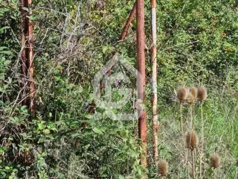 Sale, land lot, 2500m², Baćevac, Barajevo - image 5