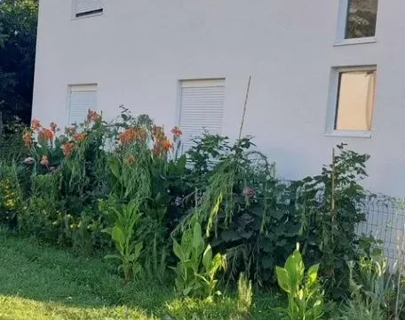 Prodaja, kuća, 178m², Tomba, Bar - image 2