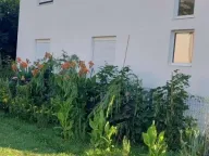 Sale, house, 178m², Tomba, Bar - image 2