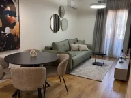 Izdavanje, jednosoban stan, 39m², Central Point, Podgorica - image 3