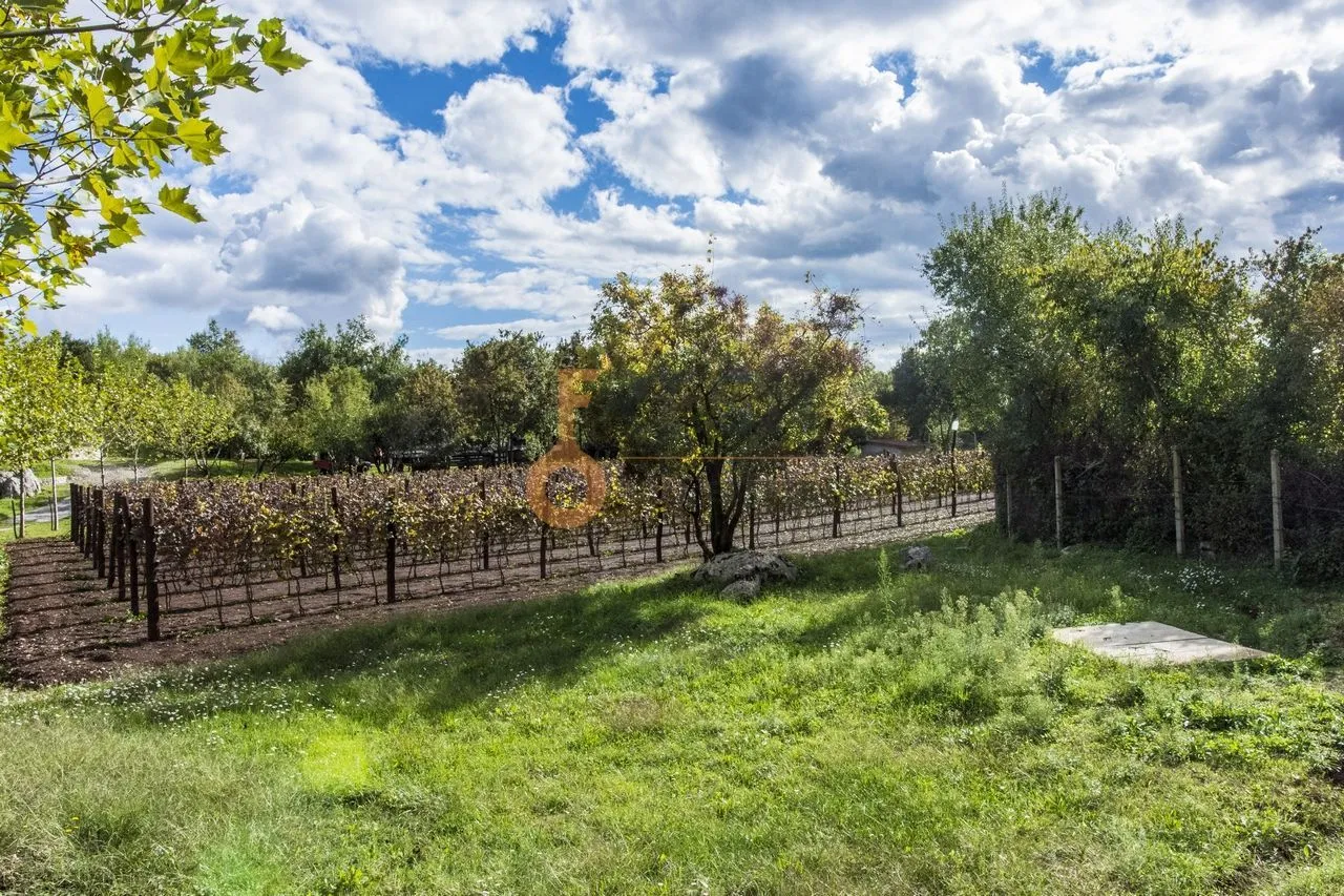 Prodaja, plac, 36246m², Danilovgrad, Crna Gora